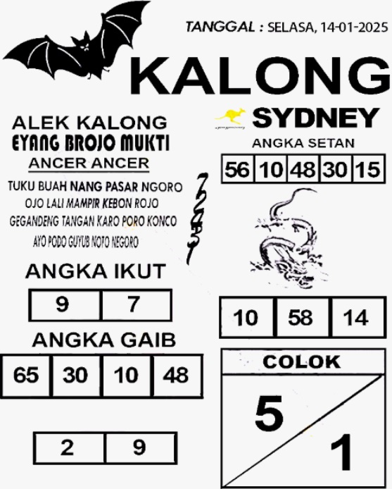 SYAIR SDY VIP